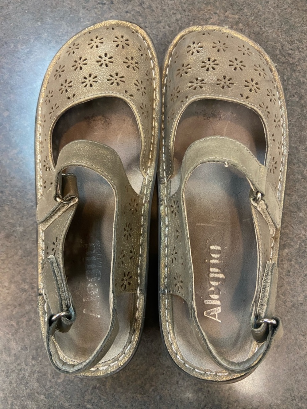 Alegria Metallic Taupe Floral Strap Shoes